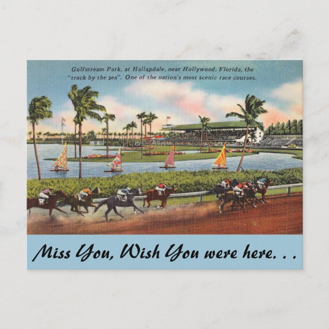 Florida, Hallendale, Gulfstream Park Postkarte (Vorderseite)
