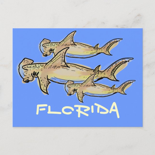 Florida Hammerhaie nach Karte (Vorderseite)