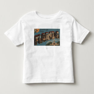 Florida (Hauptstadts-Gebäude) - großer Buchstabe Kleinkind T-shirt