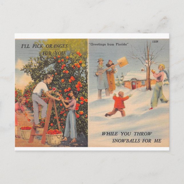 Florida im Winter Postkarte (Vorderseite)