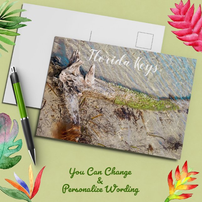 Florida Keys Bahia Honda Driftwood Shore Postkarte (Von Creator hochgeladen)