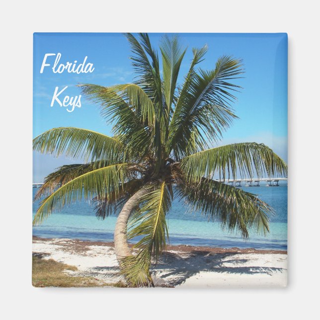 Florida Keys Bahia Honda Staat Park Palm Magnet (Vorne)