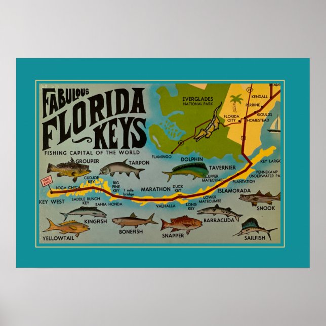 Florida Keys Fish Poster (Vorne)