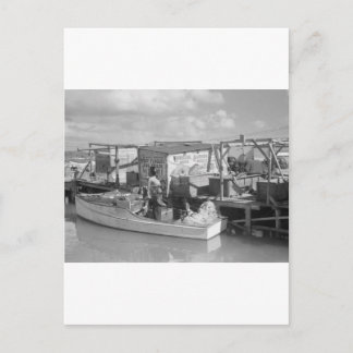Florida Keys Fishing, 1938 Postkarte