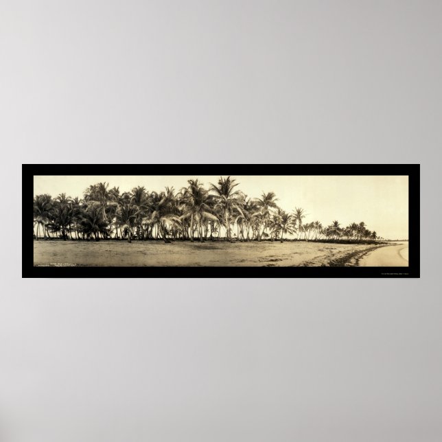 Florida Keys Fishing-Foto 1912 Poster (Vorne)