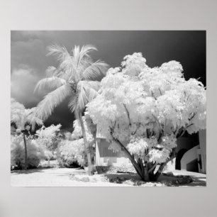 Florida Keys-Haus und seine Palmen, USA. 2 Poster