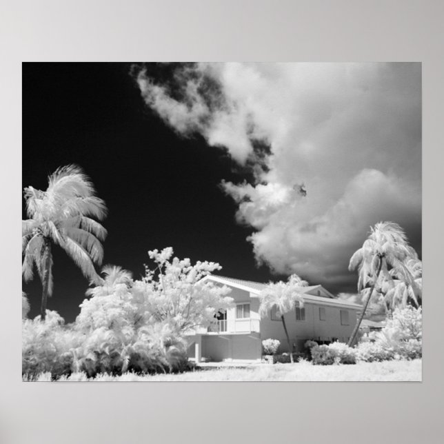 Florida Keys Haus und seine Palmen, USA. Poster (Vorne)