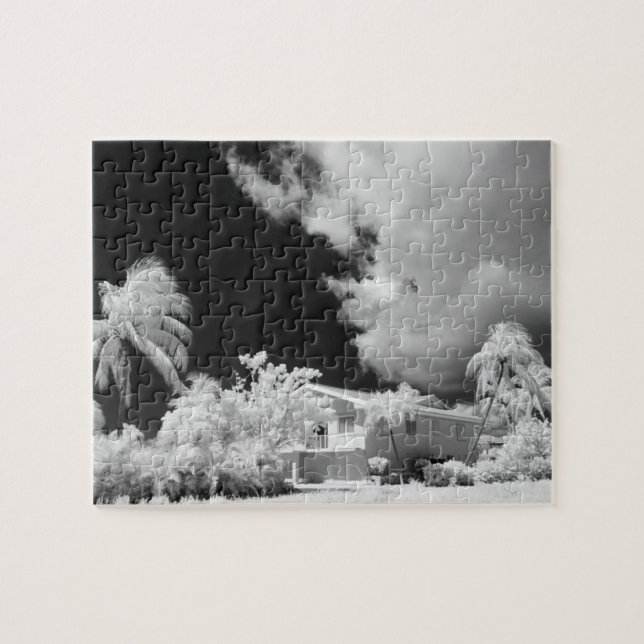 Florida Keys House und seine Palmen, USA. Puzzle (Horizontal)