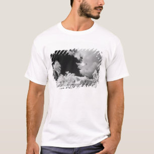 Florida Keys House und seine Palmen, USA. T-Shirt