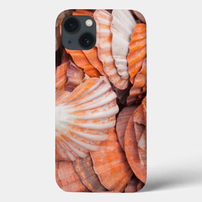 Florida Keys, Key West, Muscheln Case-Mate iPhone Hülle (Rückseite)