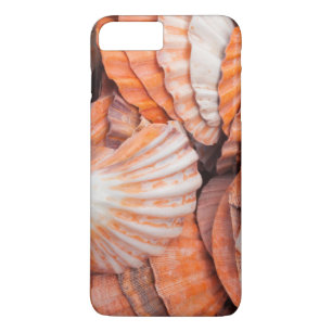 Florida Keys, Key West, Muscheln Case-Mate iPhone Hülle