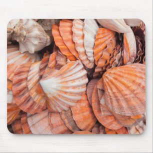 Florida Keys, Key West, Muscheln Mousepad