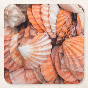 Florida Keys, Key West, Muscheln Rechteckiger Pappuntersetzer