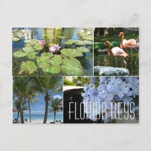 Florida Keys Postcard Postkarte