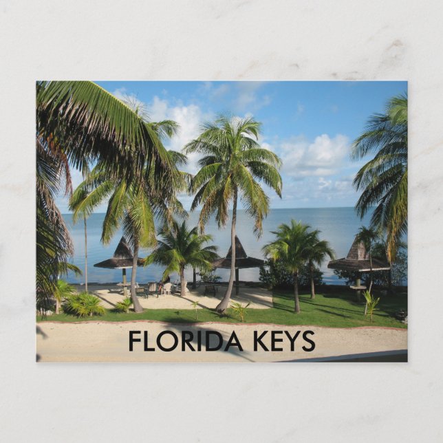 Florida Keys Postcard Postkarte (Vorderseite)