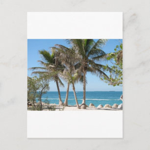 Florida Keys Postkarte