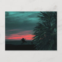 Florida Keys Sunset Postcard groß