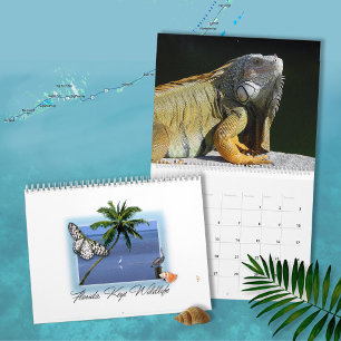 Florida Keys Wildlife Calendar Kalender