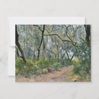 Florida Lace Spanish Moss Impressionist Art