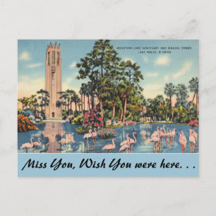 Florida, Lake Wales, Bok Singing Tower Postkarte