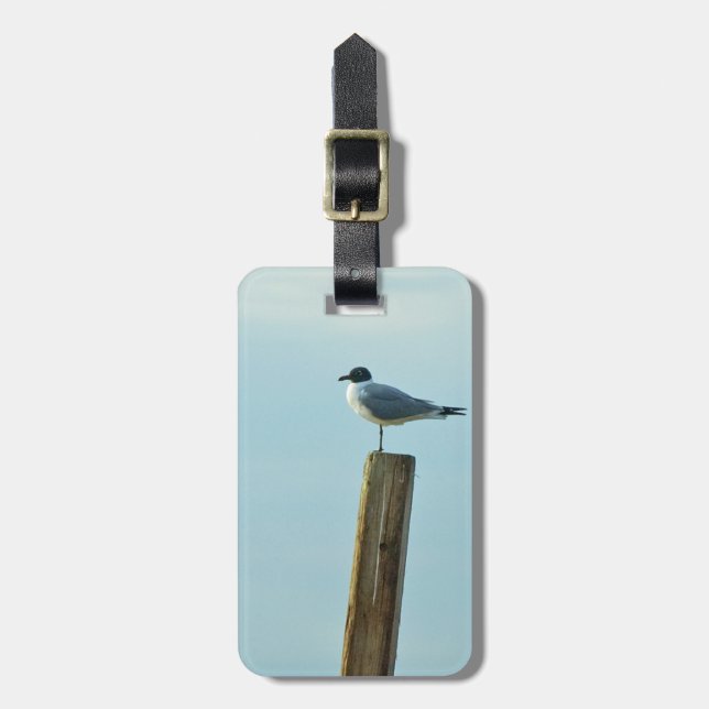 Florida Laughing Gull Easy ID Persönlich Gepäckanhänger (Vorderseite vertikal)