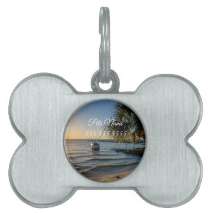 Florida Leaning Palm Tree Sunset Pet Tag Tiermarke
