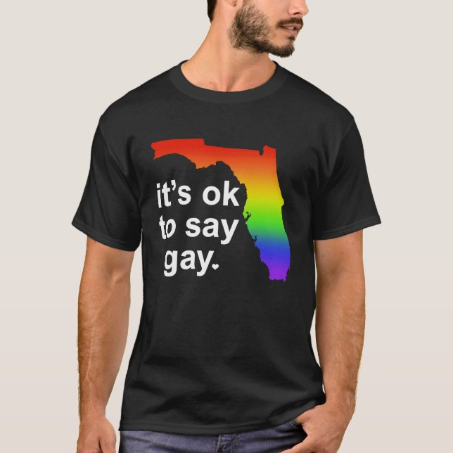 Florida LGBTQ It's OK to Say Gay Protect LGBTQ Fre T-Shirt (Vorderseite)