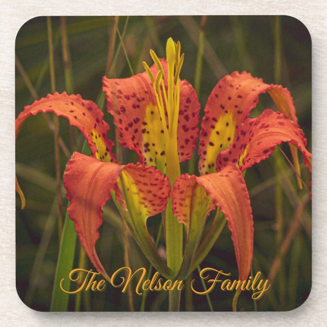 "Florida Lily" Untersetzer-Set aus 6 Stück Getränkeuntersetzer (Vorderseite)