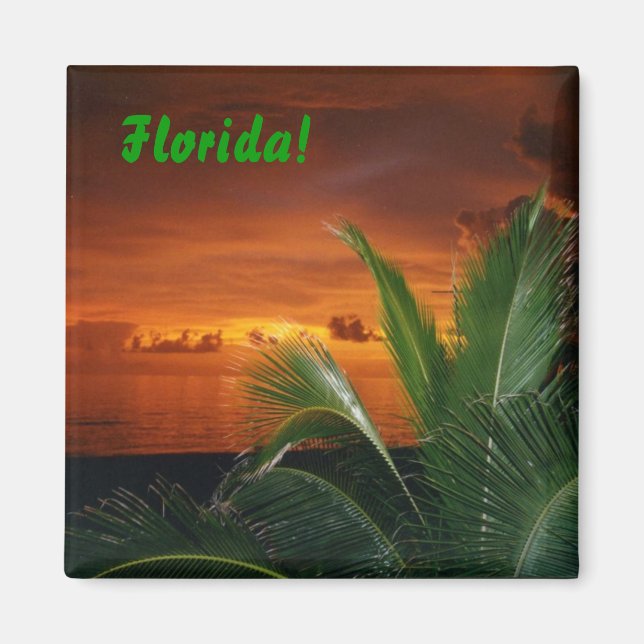 Florida! Magnet (Vorne)