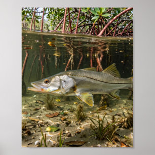 Florida Man Snook Mangrovenufer Angeln Kunst Poster