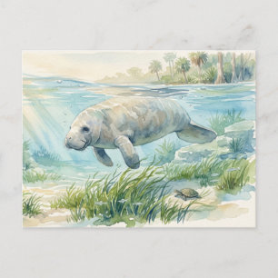 Florida-Manatee-Aquarell Postkarte