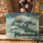 Florida Manatee und Baby Postkarte<br><div class="desc">Dieses Design kann in dem Bereich personalisiert werden, der durch das Ändern des Fotos und/oder Textes zur Verfügung gestellt wird. Sie können auch angepasst werden, indem Sie auf Vorlage personalisieren klicken und dann auf die Schaltfläche klicken, um weitere Optionen anzupassen, um die Hintergrundfarbe zu löschen oder zu ändern, Text hinzuzufügen,...</div>