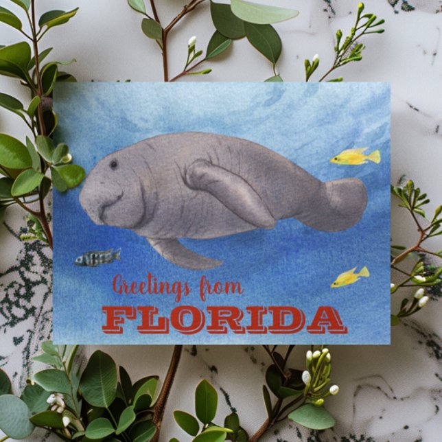 Florida Manatee Wasserfarbe unter Wasser Postkarte (Von Creator hochgeladen)