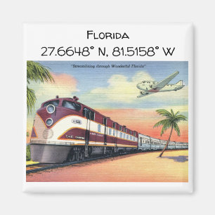 Florida Map Koordiniert Vintagen Stil Magnet