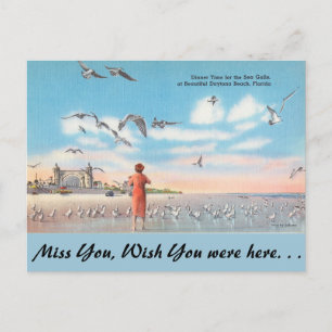 Florida, Möwen, Daytona Beach Postkarte