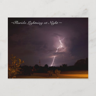 Florida Night Lightning Postkarte