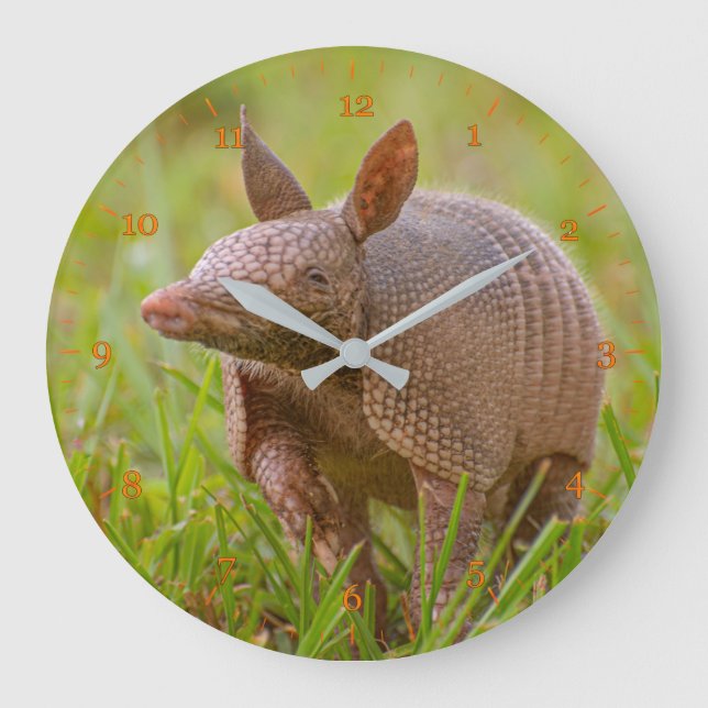 Florida Nine banded armadillo nah-up Große Wanduhr (Vorderseite)