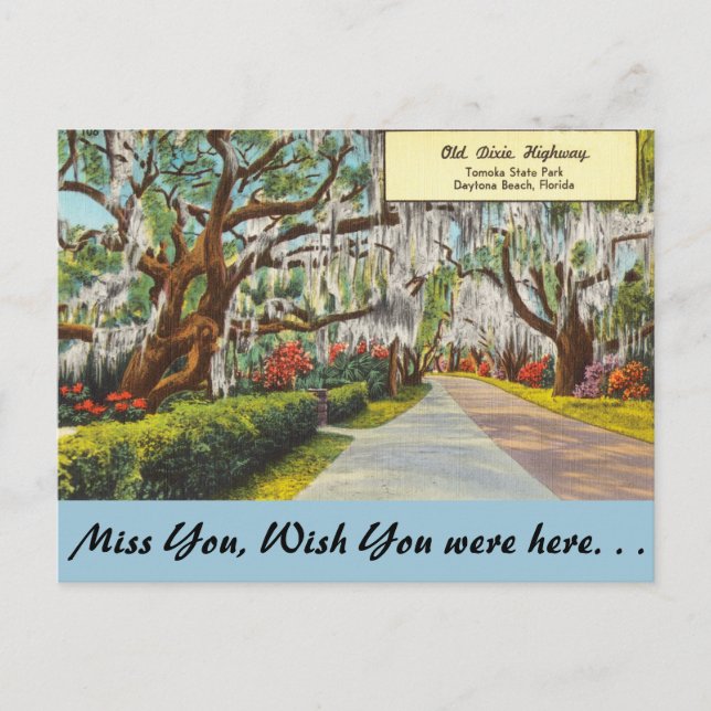Florida, Old Dixie Highway, Daytona Beach Postkarte (Vorderseite)
