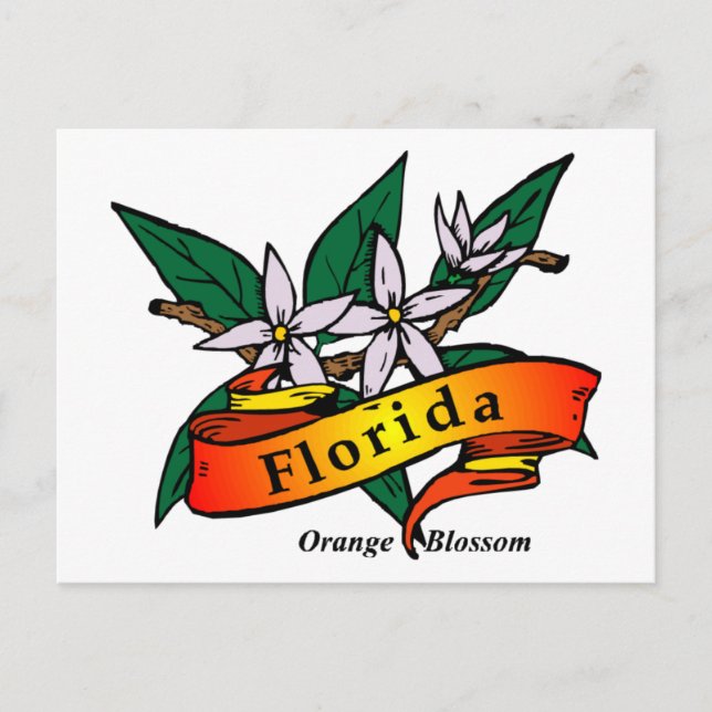 Florida Orange Blossom Postkarte (Vorderseite)