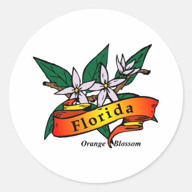 Florida Orange Blossom Runder Aufkleber (Vorderseite)