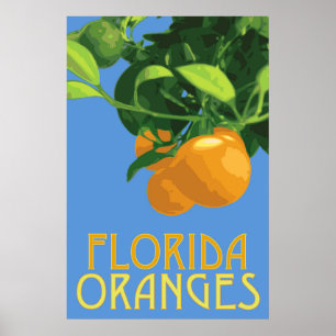 Florida Orange Fruit Poster 24 x 36