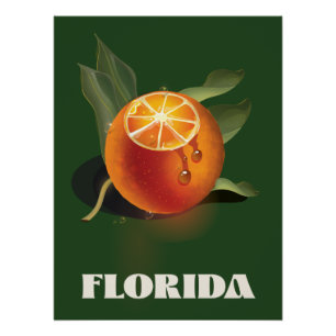 Florida Orange Reiseplakat Canvas Print Poster
