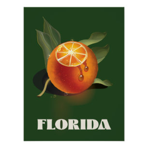 Florida Orange Reiseposter Poster