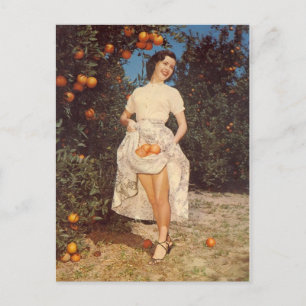 Florida-Orangen-Postkarte im Vintage-Stil Postkarte
