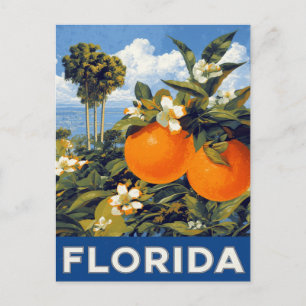 Florida Orangen Vintage Reise Postkarte