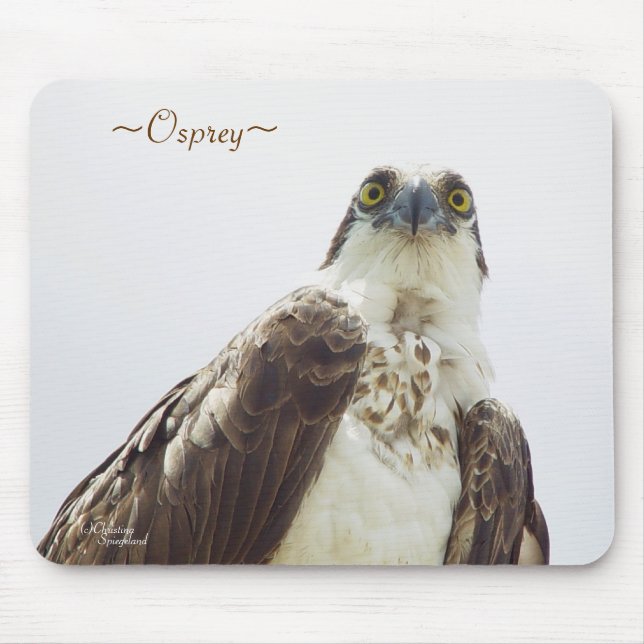 Florida Osprey Mousepad (Vorne)