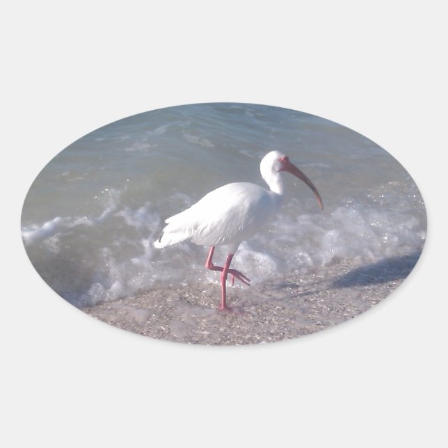 Florida Ovaler Aufkleber (Vorderseite)