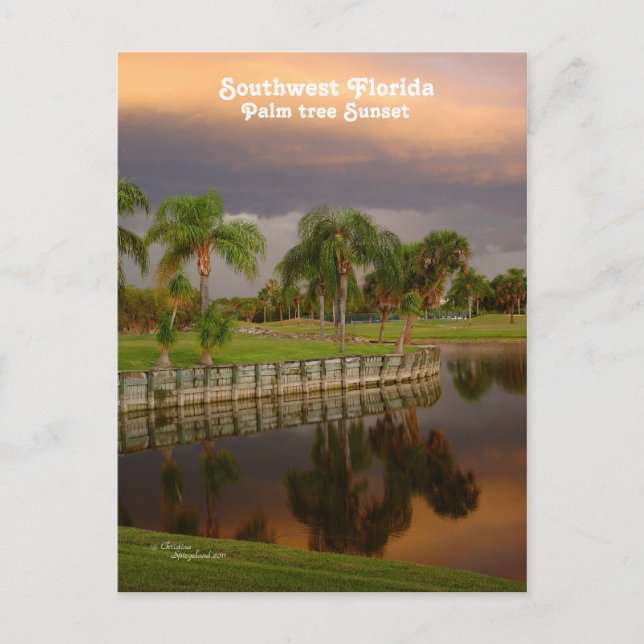 Florida Palm Tree Sunset Postcard Postkarte (Vorderseite)