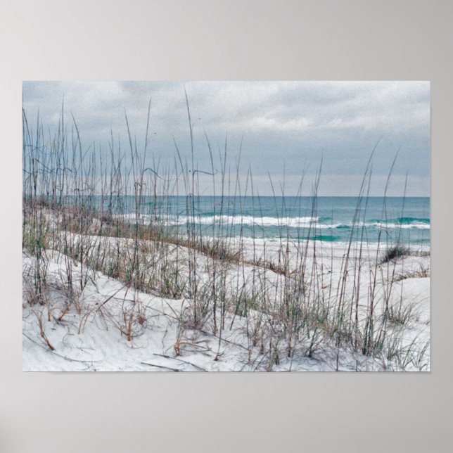 Florida Panhandle Beach Poster (Vorne)