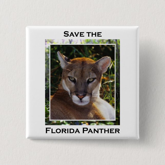 Florida-Panther Button (Vorderseite)